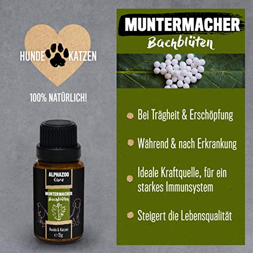 alphazoo Muntermacher Bachblüten für Hunde & Katzen 15 g I Globuli gegen Erschöpfung I Natürliches Beruhigungsmittel, Blütenmischung nach Dr. Bach