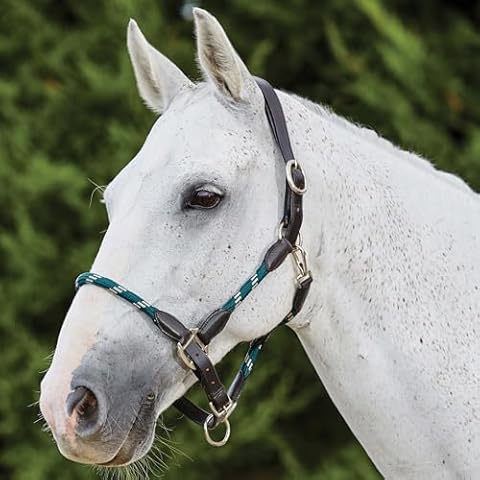 Kincade Leather Rope Halter, Hunter Green/Brown, Cob Cover