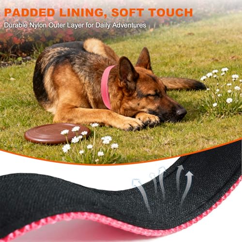 Image of Taglory Reflective Extra Large Dog Collar, Comfortable for Safe Night Walks