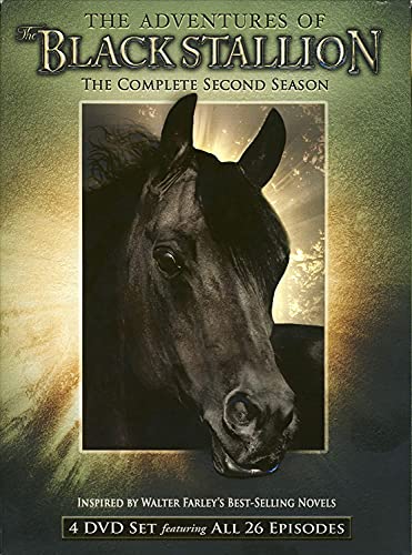 The Adventures of the Black Stallion: Season 2