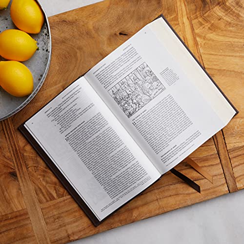 Harpercollins Christian Pub. 24672X Nrsvce, Illustrated Catholic Bible thumb #2