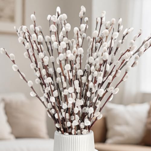 25 Stems Natural Dried Pussywillow Branches for Vases Decor 15-17 Real Preserved Pussywillows with White Snow Willow Branches for Home Decor Wedding Party DIY Floral Fireplace &Yard Decor