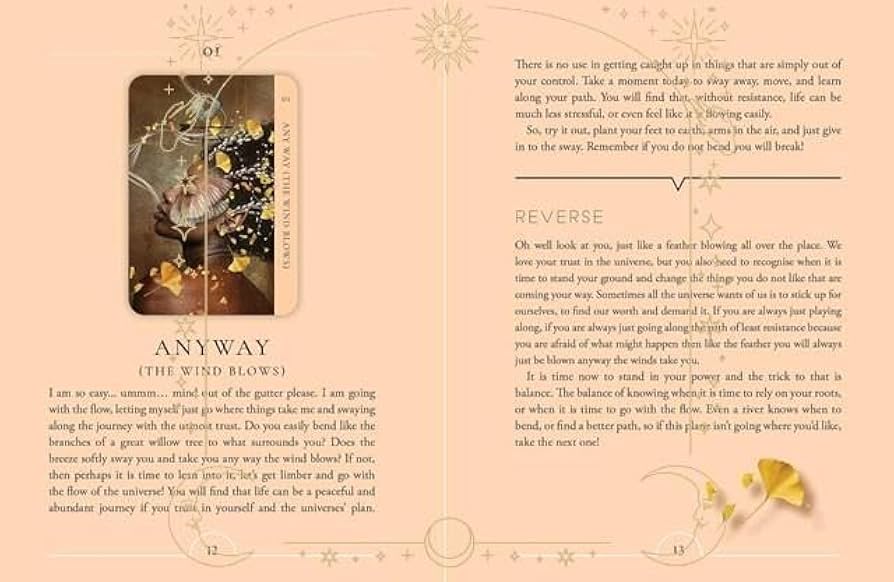 【正規品オラクルカード】人気アーティスト作✨人から人への芸術や感動のデッキ Amazon.co.jp: 正規品オラクルカード人気アーティスト作人から人