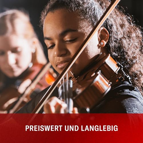 D'Addario Geigensaiten - Prelude Violin Strings - J810 4/4M - 4/4 Scale, Medium Tension - Full Set