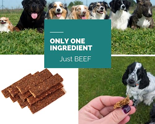 PawGang, Beef Meaty Strips 200g, 100% Natural Training Treats for Dogs Puppies Young Adult Old Small Large Dog - Image 4