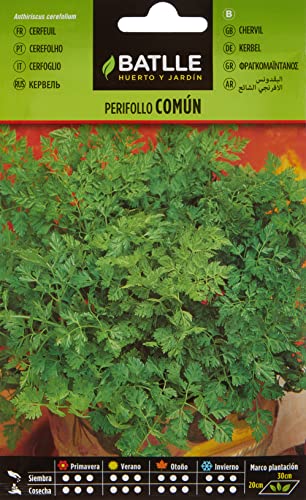 Semillas Batlle Perifollo Común, semillas para plantar