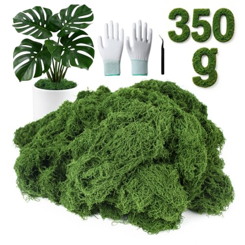MGLIFEUL 350g Realistic Artificial Fake Moss for indoor plant pots with Non-Stick Gloves and Tweezers Faux Preserved Moss for crafts Indoor Planters Fairy Garden Outdoor Home Decorating Model Making