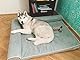 PetFusion BetterLounge Hundebett aus Memory-Schaum, mit wasserdichtem Innenfutter und abnehmbarem Bezug, Größe XL, 112 x 86 x 19 cm Ersatzbezüge und Decken sind ebenfalls erhältlich.