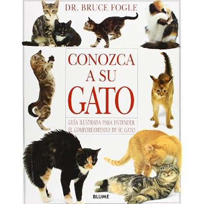 Conozca a su gato