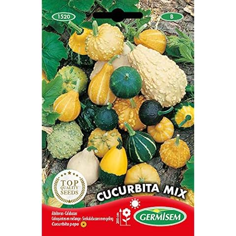 Semillas de Calabaza Germisem Cucurbita Mix Cover