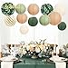 AOBKIAT Party Decorations Paper Lanterns Set,12PCS Sage Green Brown Chinese Japanese Hanging Paper Lantern for Green Boho Wedding Party,Birthday, Bridal Showers,Neutral Party Decor