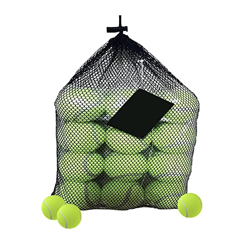 image for Accurate Durable Sport Play Tennis Cricket Dog Toy Ball with Mesh Carr