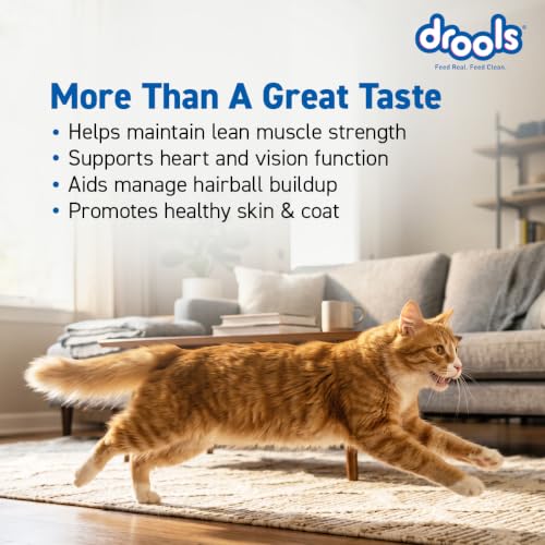 Image of Drools Adult Dry Cat Food 1.2kg Pack | Mackerel Flavour | Enriched with Essential Nutrients | Supports Skin & Coat | Complete Nutrition | Aids Digestion | Promotes Growth