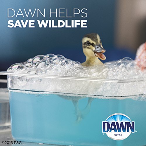 Image of Dawn Ultra Dishwashing Liquid Dish Soap Original Scent, Two 21.6 oz Bottles