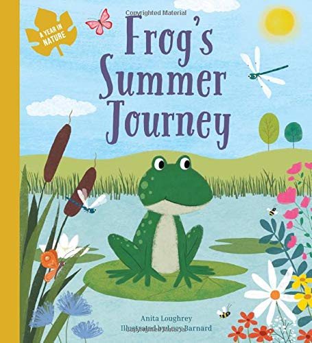 Frog's Summer Journey
