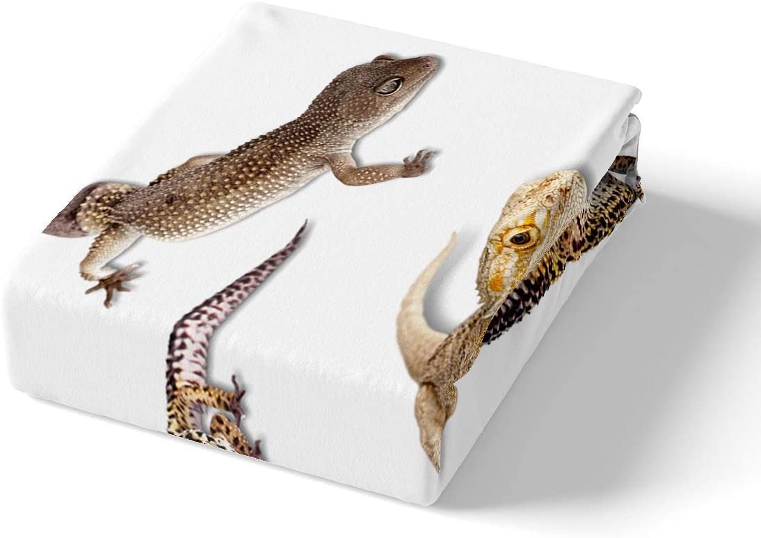 Loussiesd Reptil Bettwäsche-Set für Kinder Mädchen Jungen Teens Kind,Leopard Gecko Bettbezug Primitive Wildlife Tiere Eidechse Beige Weiß Grün,Dekor 2 Stück Bettwäsche 135x200cm