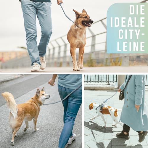 ne&no rope lead 1.2 m (slightly stretchy) for medium to large dogs I training lead I robust dog lead I round braided I dog slip leads I city lead I dog leash aqua 120 cm - Image 2