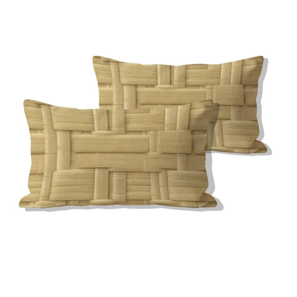 Taie d'oreiller décorative moderne 50x80cm imperméable en velours rectangle