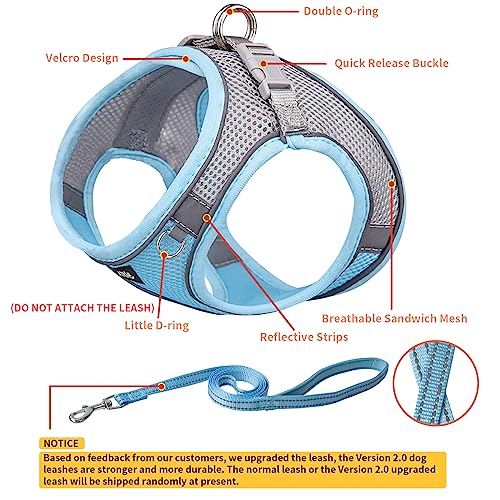 Aiitle Dog Harness, Summer No-Pull Pet Harness With A Leash, Adjustable Soft Padded Dog Vest, Reflective Outdoor Pet Vest For Extra Small Dogs And House Cats Blue Xxxs #TOP5