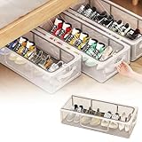 DDN_R_ Shoe Organiser For Home || Transparent Lid Fits Under Bed || Shoe Storage || Cloth Organiser For Wardrobe || Sneaker Holder Container || Space Saving (Large, 1, count)