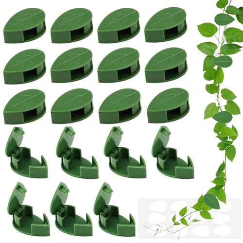 Cfcyhla Pflanzenclips für Kletterpflanzen Wand, 50 Stück Rankhilfehalter Pflanzenclips, Wiederverwendbare unsichtbare Selbstklebende klebrige Acrylhalterun für Gartenarbeit Pflanzenstützung