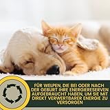 EMMA Multivitamin Paste Hund 15ml | Vitaminpaste für Hunde & Welpen | Vitamin B-Komplex A C D3 E B1 B2 B6 | Immunsystem stärken | Vitalität & Fellpflege | Hunde Vitamine Senior & Welpen