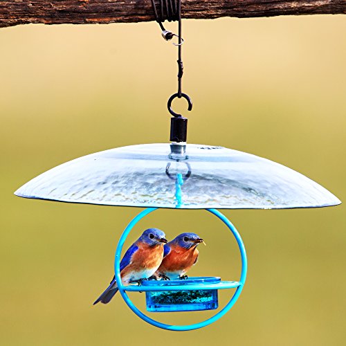 Mosaic Birds Sturdy & Durable Long Nylon Rope With Stainless Steel Hook, Cable For Easy Hanging Of Bird Feeders, Bird Baths, Baffle Domes, & Decorative Garden Accents, 1 Piece, Black, M948-200 #TOP2