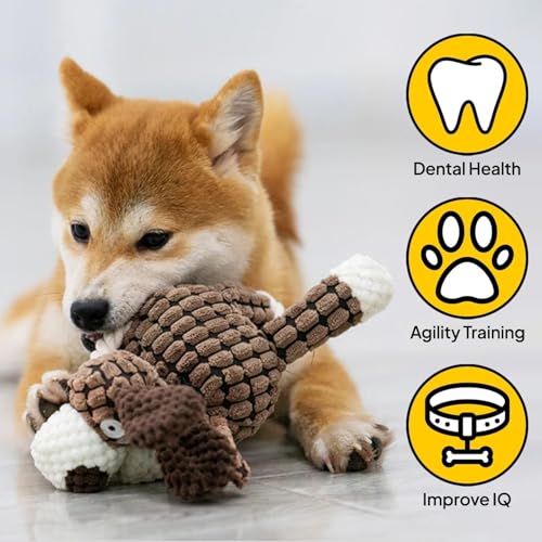 Pack 3 Juguetes Squeaker para Perros de Cuerda miniatura 5