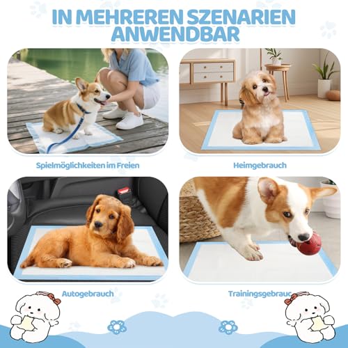 100 Stück PIPI Matten für Hunde, 33x45cm Welpen Unterlagen Trainingspads, Auslaufsicheres 5 Lagiges Design, Super Saugfähige Oberfläche, Welpenunterlagen Einweg für Kranke und Inkontinente Tiere