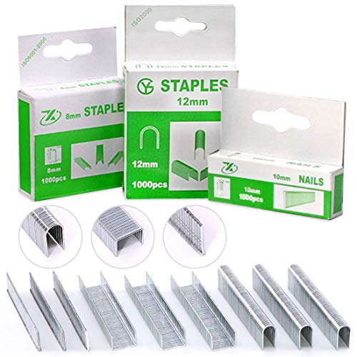 AECCN 3000Pcs Standard di Qualità Premium 3 Tipi di Graffette, Compresi i Tipi di Porta e a U e Graffette a T Perfette per la Maggior Parte Delle Pinzatrici Standard AECCN 3000Pcs Standard di Qualità Premium 3 Tipi di Graffette, Compresi i Tipi di Porta e a U e Graffette a T Perfette per la Maggior Parte Delle Pinzatrici Standard