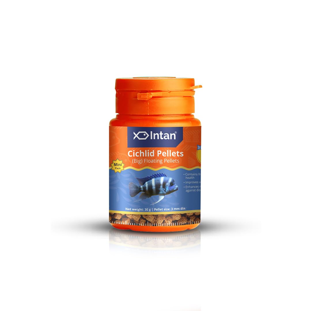 Growel Intan Cichlid Pellets (Big 3mm Floating) | 30gm - Highly Nutritious Ornamental Fish Food for All Varieties of Small & Big Cichlids (B0CVGX5MMK) Amazon Price History, Amazon Price Tracker