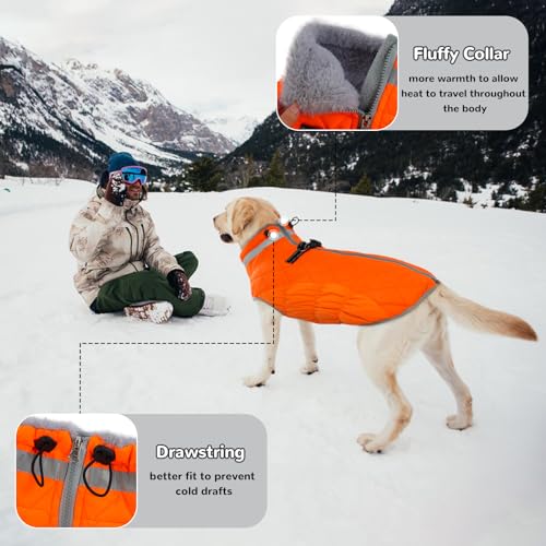 Hjumarayan Hundemantel für Kleine Mittelgroße Grosse Hunde, Hundemantel Winter Warme Wintermantel Hund Hundejacke Wasserdicht Hunde Mantel Gefüttert, Outdoor Hundemantel Labrador (Orange XL)