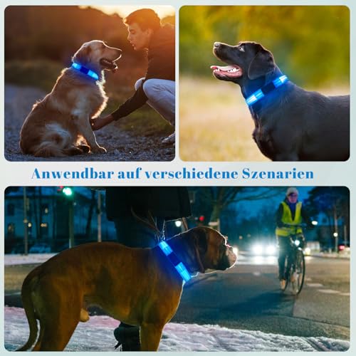 Leuchthalsband Hund, Hundehalsband Leuchtend Aufladbar mit Batteriekontrollleuchte, Wasserdichtes LED Hundegeschirr Leuchtend, Einstellbare Größe 3 Blinkende Lichter