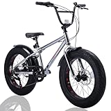 Discovery Adventures (ディスカバリー アドベンチャーズ) クルーザー City Cruiser Fat BMX 自転車 シティ ファットバイク フリースタイル 街乗り 20インチ サイドスタンド ディスクブレーキ (Stylish Plating)