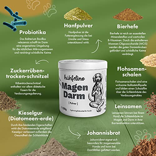 Hunde Verdauungs Pulver bei Durchfall oder Blähungen mit Probiotika & Präbiotika fördert die Darmsanierung bei Verdauungsproblemen für eine gesunde Darmflora 250g