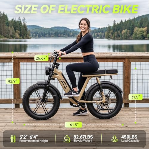 Image of TS TST GRP LLC Electric Bike for Adults, 20 inch x4.0 Fat Tire Retro E Bike