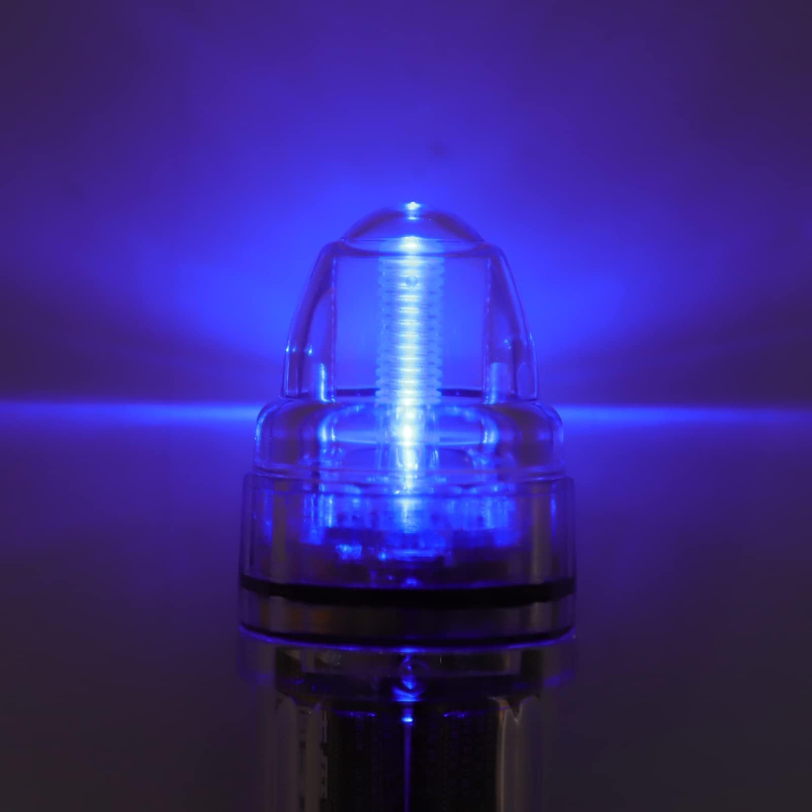 equlup LED Fishing Lights Deep Drop Lights Underwater Fishing Lures Flashers, Deep Sea Fishing Lures Underwater Fishing Light(BLUE)