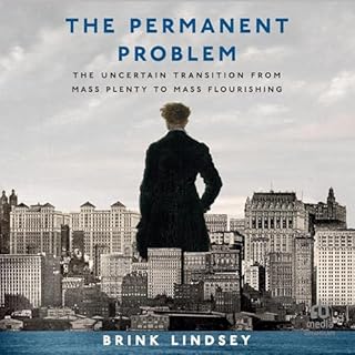 The Permanent Problem cover art