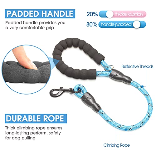 Baapet 2/4/5/6 Ft Dog Leash With Comfortable Padded Handle And Highly Reflective Threads For Small Medium And Large Dogs (2Ft-1/2'', Blue) #TOP1