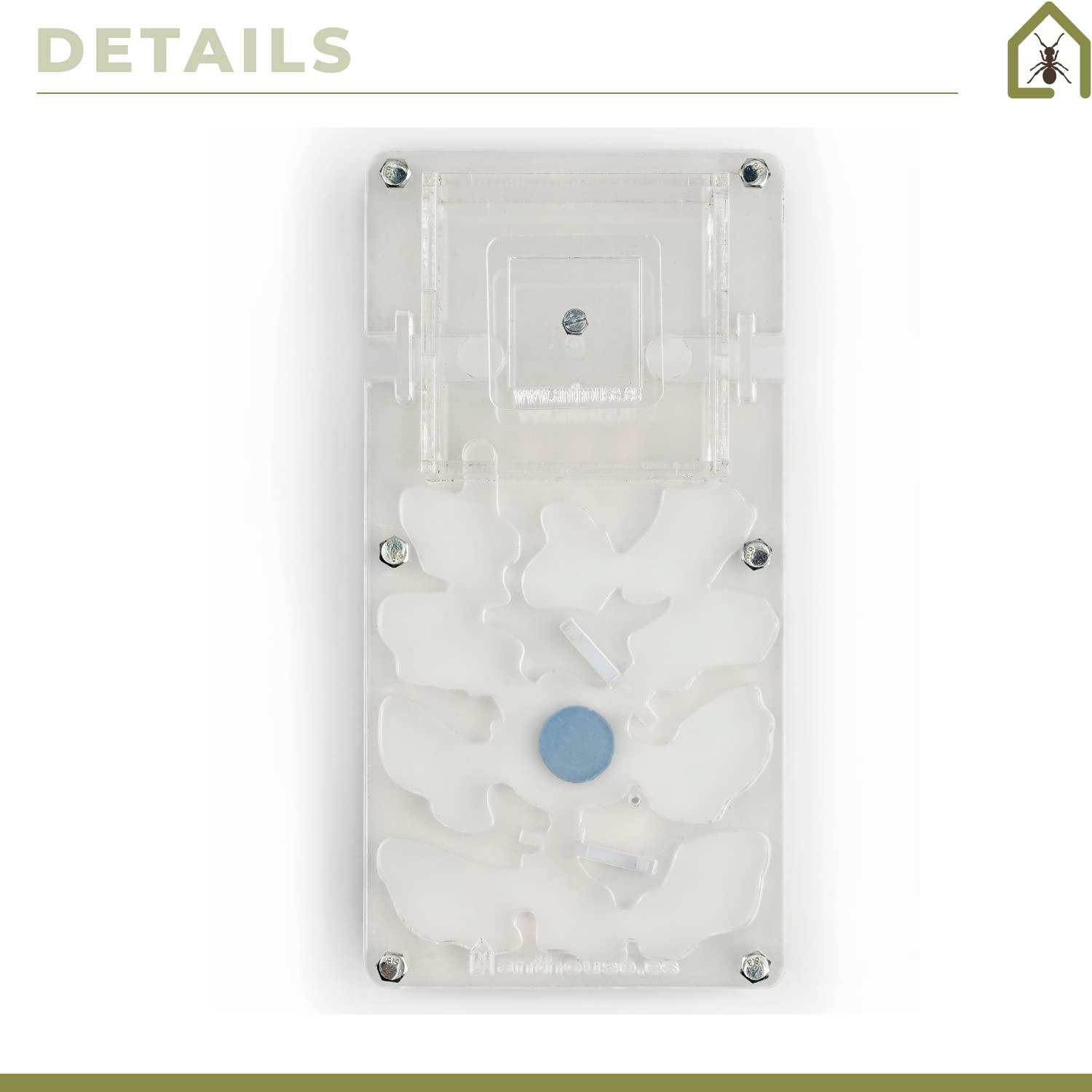 AntHouse - Hormiguero Acrílico Kit Educativo - Hormiguero con humidificador de Seta - Terrario deHormigas Ampliable - Incluye Deposito de Agua y Hormigas - Medidas (10x20x1,3 cm) - Transparente