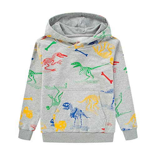 LAUSONS Kinderpullover met capuchon voor jongens, dinosaurus, sweatshirt.