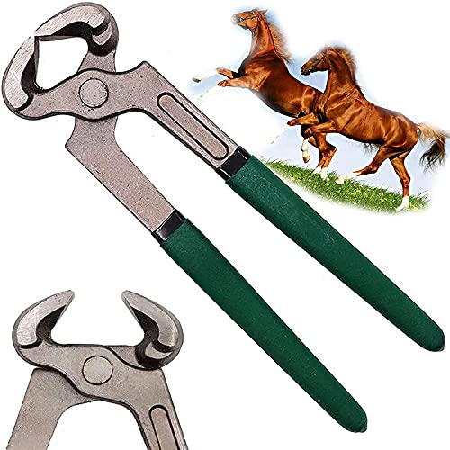 Couteau à Sabot Boucle De Maréchal-ferrant Couteau Ovale Couteau à