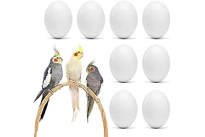 Artificial Bird Eggs to Halt Egg Production