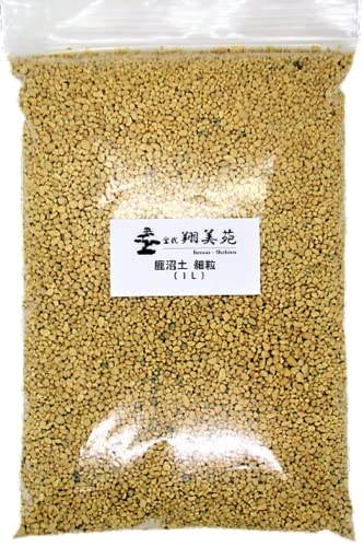 Ĕ y VR ӂ邢ʂ I (ח 1L)