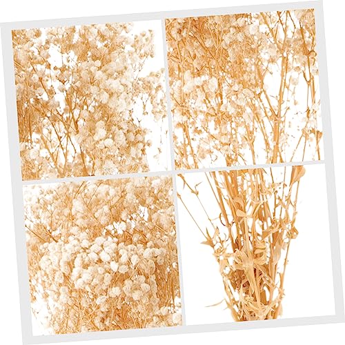 Arreglo de flores secas Realistico Babysbreath para decoración miniatura 6