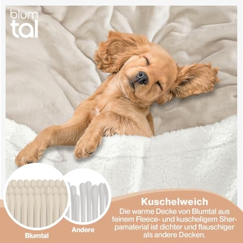 Blumtal Premium Sherpa Kuscheldecke flauschig 130x150 cm - Oeko-Tex zert. Sofa Decke mit Dicker Sherpa-Innenseite - super Flauschige Decke… – Ansicht 4