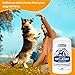 Nootie Glucosamine for Dogs - 250 ct - Hip and Joint Soft Chews Supplement for Dogs - Daily Dog MSM Chondroitin Chews with Turmeric - Joint Care Vitamins for All Breeds and Sizes USA