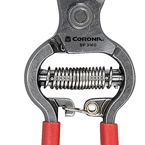 Corona tijeras podadoras Classic Cut 8 in acero miniatura 2