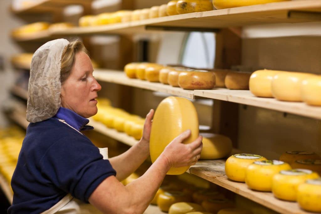 Junger Gouda im Minilaib direkt vom Bauernhof/Sorte Tomate-Olive