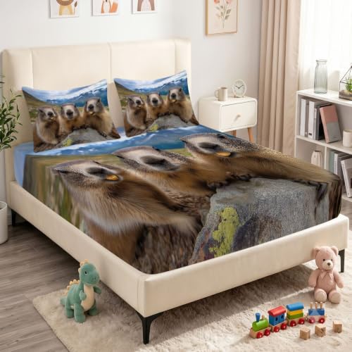 Sábana bajera ajustable de animales 135x200x30 cm de microfibra multicolor para cama doble 2